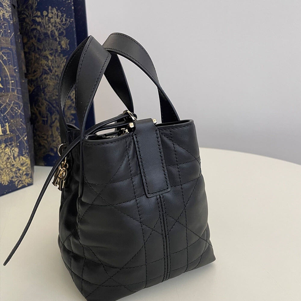 D10r Toujours Vertical Nano ToteBag(high-end grade)
